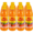 Wild Island Orange Flavoured Dairy Blend Concentrate 12 x 1L 