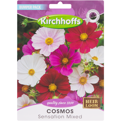 Kirchhoffs Sensation Mixed Cosmos Seeds