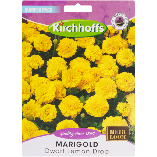 Kirchhoffs Dwarf Lemon Drop Marigold Seeds