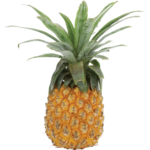 Medium Queen Pineapple Half