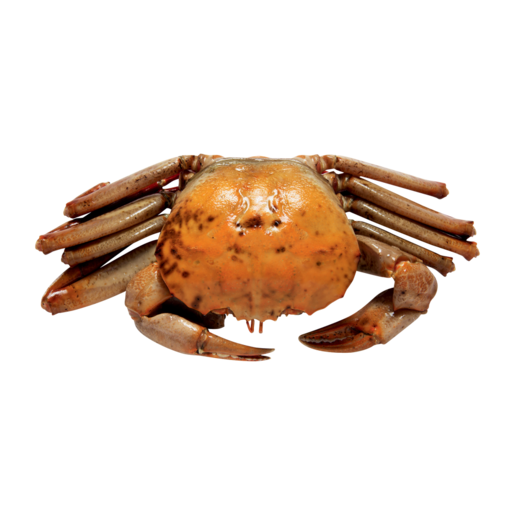 Frozen Large Crab Per kg