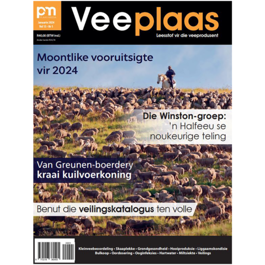 Veeplass Magazine 