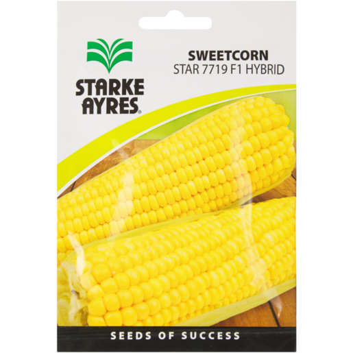 Starke Ayres Assegai Hybrid Sweetcorn Vegetable Seeds