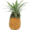 Medium Queen Pineapple Half