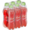 Coo-ee Raspberry Flavoured Soft Drinks 6 x 300ml