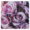 Purple Rose Bouquet Canvas 45 x 45 x 2.5cm