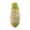 Medium Class 1 Papaya Single